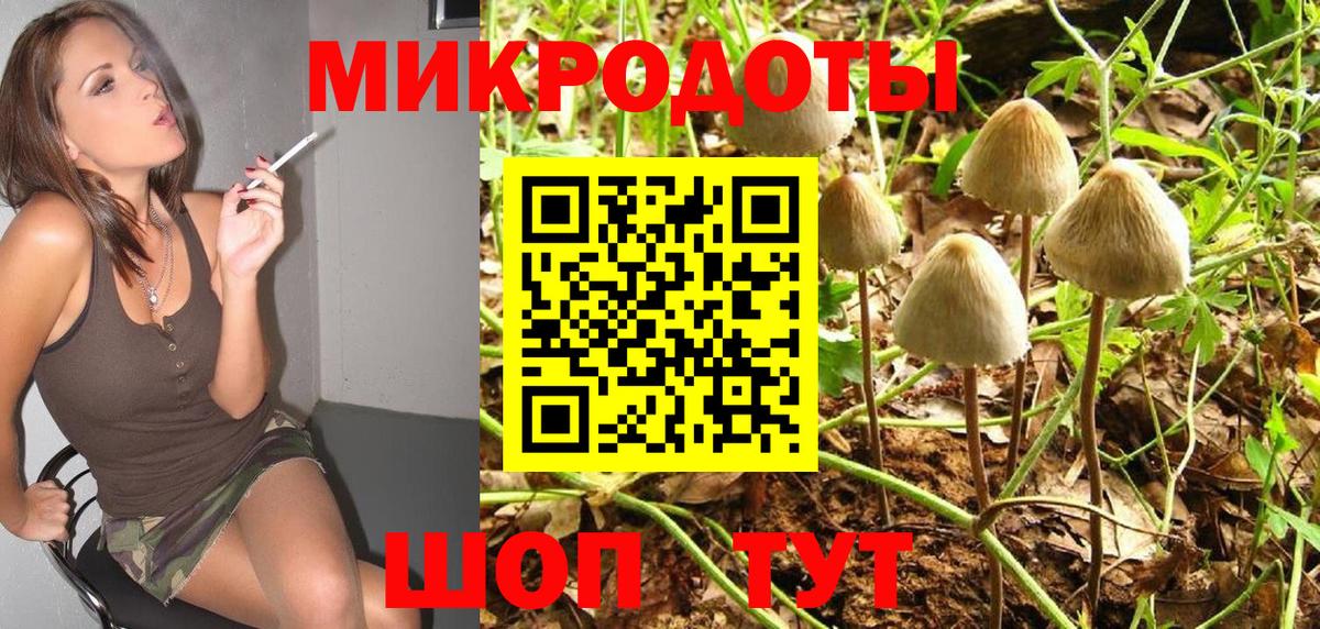 Галлюциногенные грибы Psilocybe Орск