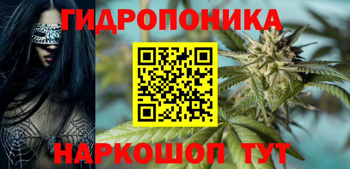 Орск  МАРИХУАНА семена  Канабис гибрид  Вход с VPN 